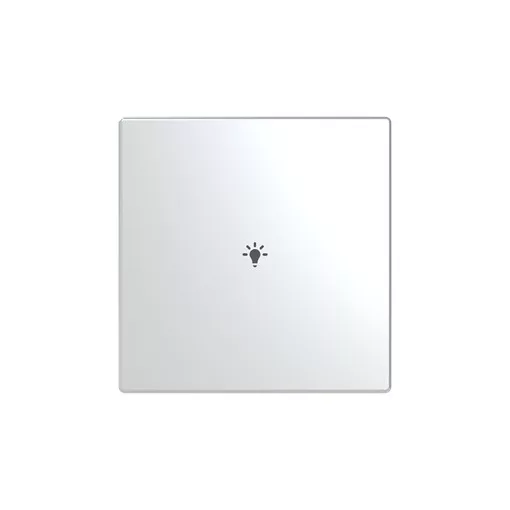 BUSCH-JAEGER LFBT/A.1.63.11-866 Keypad future gomb | 1-es, Licht | nemesacél