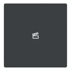   BUSCH-JAEGER LFST/A.1.63.11-81 Taste für Keypad future | 1-es, Szene | antracit