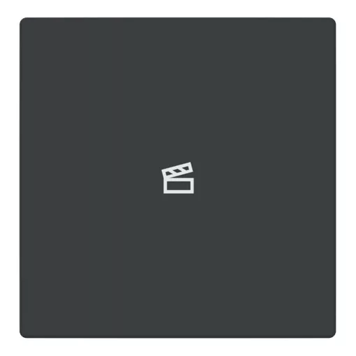 BUSCH-JAEGER LFST/A.1.63.11-81 Taste für Keypad future | 1-es, Szene | antracit