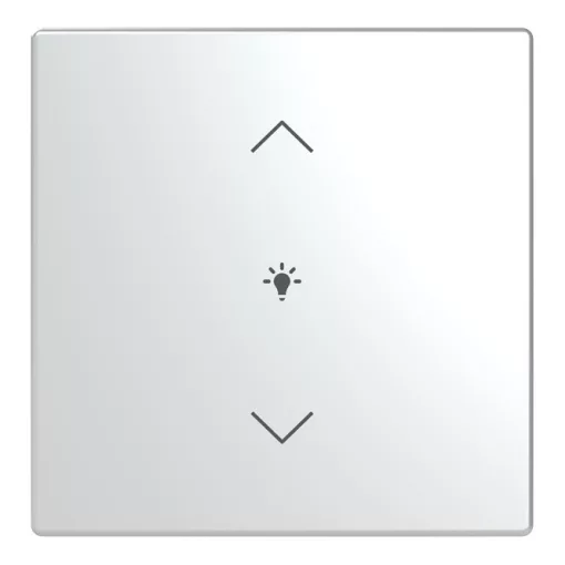 BUSCH-JAEGER LFDW/A.1.63.11-866 Billenőkaros Keypad future-höz | 1-es, Fény, Nyilak | nemesacél