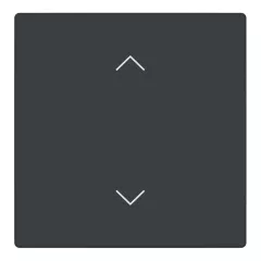   BUSCH-JAEGER LFAW/A.1.63.11-81 Billentyű Keypad future-höz | 1-es, nyilak | antracit