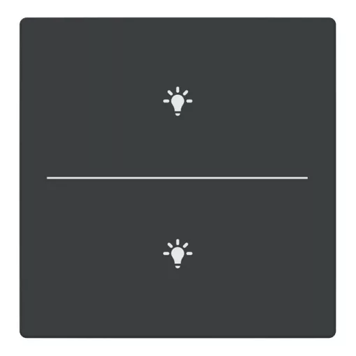 BUSCH-JAEGER LFBT/A.2.63.11-81 Taste für Keypad future | 2-fach, Licht | anthrazit

(A termék neve tartalmaz több olyan elemet – „Taste für Keypad future", „Licht", „anthrazit" – amelyek esetében a pontos magyar szakkifejezés bizonytalan, e