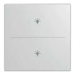   BUSCH-JAEGER LFBT/A.2.63.11-83 Taste für Keypad future | 2-fach, Licht | alusilber