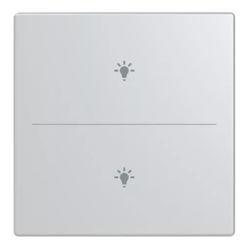 BUSCH-JAEGER LFBT/A.2.63.11-83 Taste für Keypad future | 2-fach, Licht | alusilber