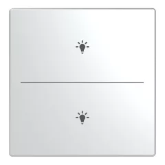   BUSCH-JAEGER LFBT/A.2.63.11-866 Taste für Keypad future | 2-fach, Licht | nemesacél