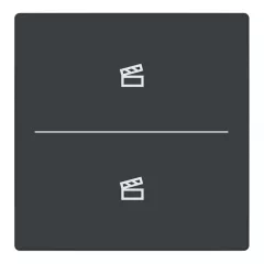   BUSCH-JAEGER LFST/A.2.63.11-81 Keypad future gomb | 2-es, Jelenet | antracit