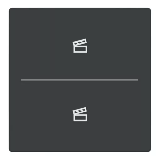 BUSCH-JAEGER LFST/A.2.63.11-81 Keypad future gomb | 2-es, Jelenet | antracit