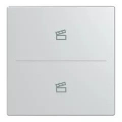   BUSCH-JAEGER LFST/A.2.63.11-83 Taste für Keypad future | 2-es, Szene | alusilber