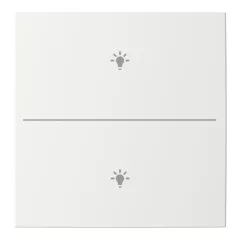   BUSCH-JAEGER LFBT/A.2.55.11-914 Taste für Keypad balance SI | 2-fach, Licht | alpinweiß
