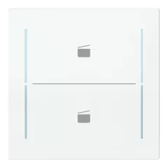   BUSCH-JAEGER LFST/A.2.70.11-44G Keypad art gomb | 2-es, Jelenet | stúdiófehér fényes