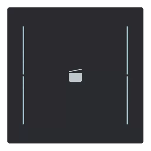 BUSCH-JAEGER LFS/A.1.70.11-45M Keypad art gomb | 1-es, Jelenet | matt fekete