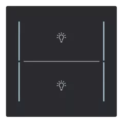   BUSCH-JAEGER LFBT/A.2.70.11-45M Keypad érintőgomb | 2-es, Fény | matt fekete