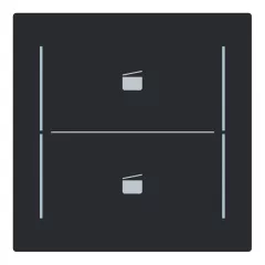   BUSCH-JAEGER LFST/A.2.70.11-45M Keypad gomb | 2-es, Jelenet | matt fekete