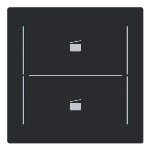 BUSCH-JAEGER LFST/A.2.70.11-45M Keypad gomb | 2-es, Jelenet | matt fekete