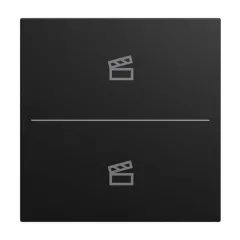   BUSCH-JAEGER LFST/A.2.55.11-915 Gomb Keypad balance SI | 2-es, Jelenet | fekete matt