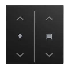   BUSCH-JAEGER LFDW/A.2.55.11-915 Billenő a Keypad balance SI-hez | 2-es, fény, nyilak | fekete matt