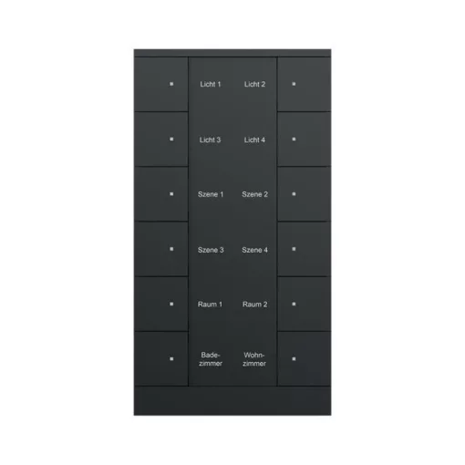BUSCH-JAEGER SB/U12.0.11-885 KNX tapintásérzékelő Tenton | 12-csatornás | matt fekete