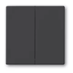 BUSCH-JAEGER 6736FoH-81 FoH-Wippe Future | 2-fold | antracit
