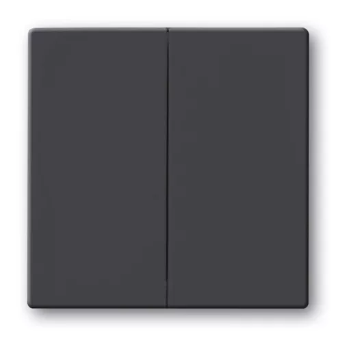 BUSCH-JAEGER 6736FoH-81 FoH-Wippe Future | 2-fold | antracit