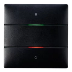   THEBEN LUXORliving iON2 BK tapintásérzékelő LUXORliving iON | 2-csatornás | fekete