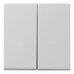 GIRA 0295015 Rocker System 55 | 2-szeres | szürke matt