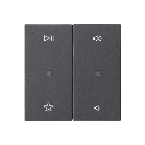 GIRA 538428 desc. Cover S3000 System 55 | 2 utas, audio | antracit