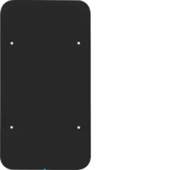   BERKER 75142865 KNX üveg érintőpanel R.1 | 2-csatornás, Komfort | fekete üveg