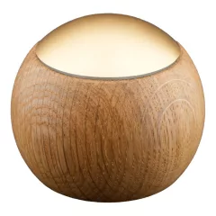   ARDITI LEPUK OA-GO Casambi design távirányító | standard | tölgy/arany