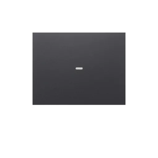 BERKER 80960275 Fedlap tapintásérzékelőhöz K.1/K.5 | 1-es, lencsével | antracit matt