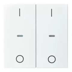   BERKER 80962399 Takarólapka tapintásérzékelőhöz S.1/B.3/B.7 | 2-fold, IO | poláris fehér matt