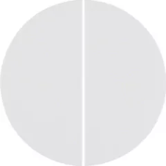   BERKER 85146139 KNX-RF-Taste quicklink R.1/R.3 | 2-csatornás | poláris fehér fényes