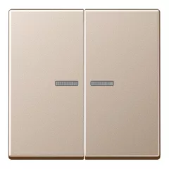   JUNG A10921STRFCH KNX-RF tapintásérzékelő A | 2-csatornás | champagne