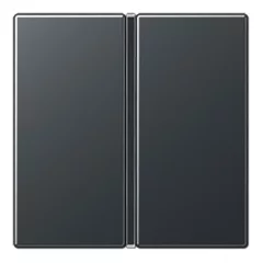   JUNG A401TSAANM Tastensatz F40 Serie A/AS | 1-es billentyűkészlet | antracit matt