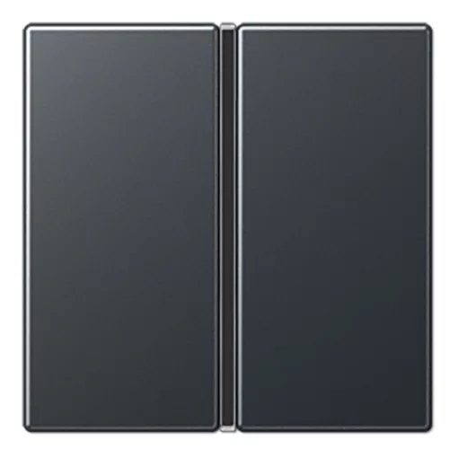 JUNG A401TSAANM Tastensatz F40 Serie A/AS | 1-es billentyűkészlet | antracit matt