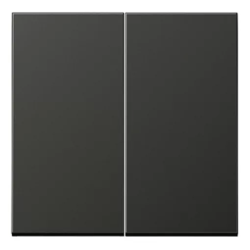 JUNG AL102AN KNX billentyű F10 LS széria | 2-es | antracit