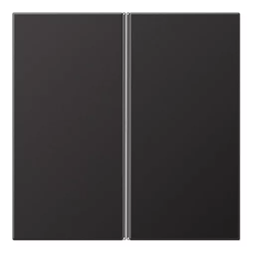 JUNG AL2402TSAD Tastensatz F40 LS sorozat | 2-es | dark