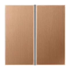   JUNG BRG2402TSA Gombsor F40 LS sorozat | 2-es | bronz szálcsiszolt
