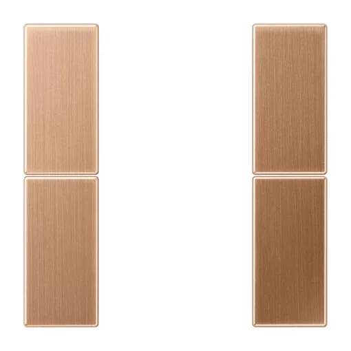 JUNG BRG2502TSA Gombsor F50 LS sorozat | 2-es | bronz szálcsiszolt