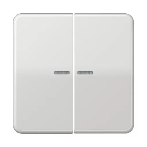 JUNG BTCD17102LG KNX tapintásérzékelő HOME CD sorozat | 2-csatornás | világosszürke