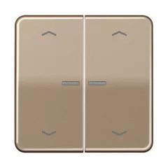   JUNG BTCD17102PGB feliratozható tapintásérzékelő HOME CD sorozat | 2-csatornás, nyilak | arany-bronz