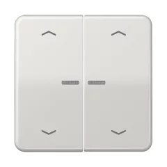   JUNG BTCD17102PLG feliratozható tapintásérzékelő JUNG HOME Serie CD | 2-csatornás, nyilak | világosszürke