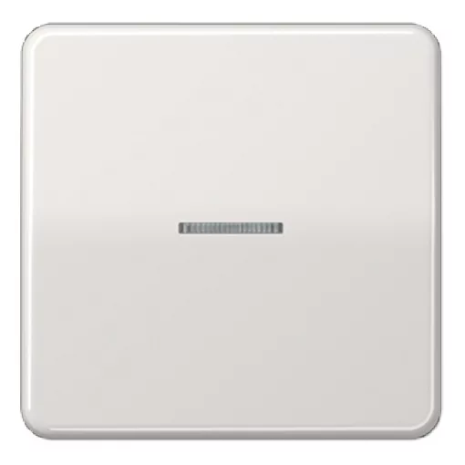 JUNG CD101KO5LG KNX vezérlőbillenő F10 CD sorozat | 1-pólusú | világosszürke