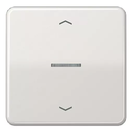 JUNG CD101KO5PLG KNX vezérlőbillenő nyíl szimbólummal F10 CD sorozat | 1-es | világosszürke