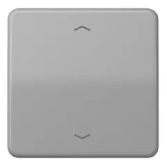   JUNG CD101PGR KNX billenőkapcsoló nyílszimbólummal F10 széria CD | 1-es | szürke