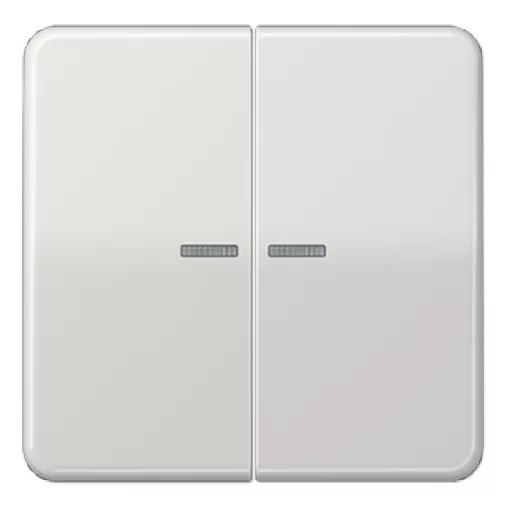 JUNG CD102KO5LG KNX vezérlőbillenő F10 CD sorozat | 2-fach | világosszürke