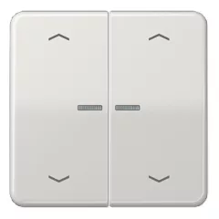  JUNG CD102KO5PLG KNX vezérlőbillenő nyíl jelzéssel F10 CD sorozat | 2-es | világosszürke