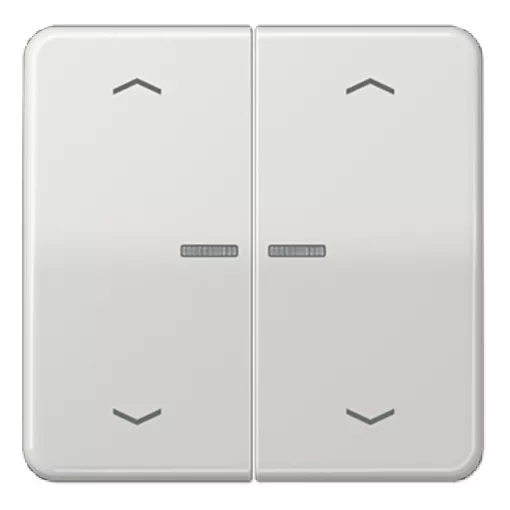 JUNG CD102KO5PLG KNX vezérlőbillenő nyíl jelzéssel F10 CD sorozat | 2-es | világosszürke
