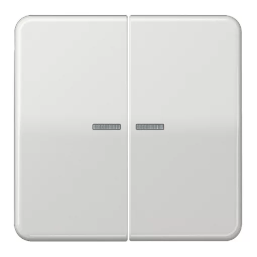 JUNG CD10921STRFLG KNX-RF tapintásérzékelő | 2-csatornás | világosszürke
