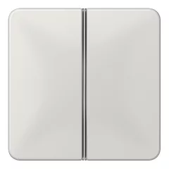   JUNG CD402TSALG Tastensatz F40 CD sorozat | 2-fach | világosszürke