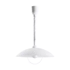   EGLO 96474 ALVEZ, beltéri függeszték, E27 foglalattal, MAX 1X60W teljesítménnyel, fehér / műanyag lámpatest, IP20, fehér, áttetsző / redőzött üveg búrával, kapcsoló nélkül